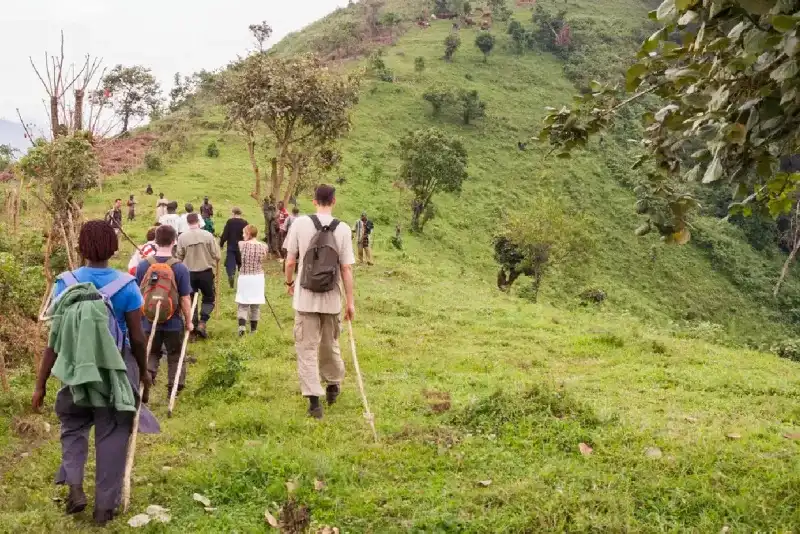 uganda-gorilla-trekking-tour